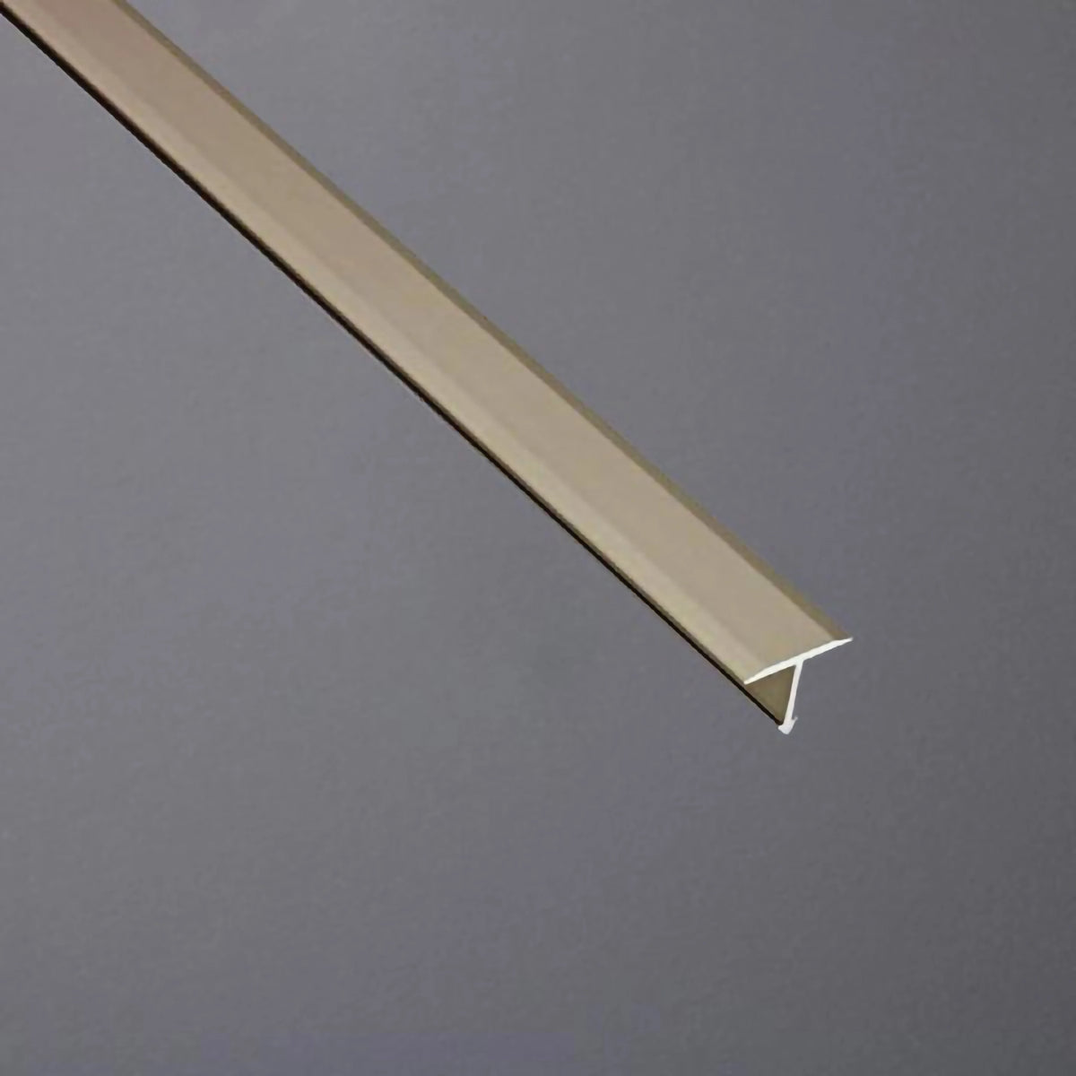 T-Profil Aluminium titan eloxiert 14 mm
#F002987
#F002989

